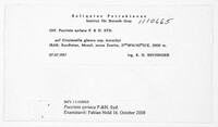 Image Associated With the Occurrence
